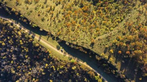 It is said that first "high-speed road" in my country with a length of more than 800 kilometers was built by Qin Shi Huang without grass.