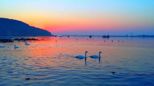 China's next well-known county with retirement potential, beautiful sea views, perfect summer, clean streets and pleasant air.