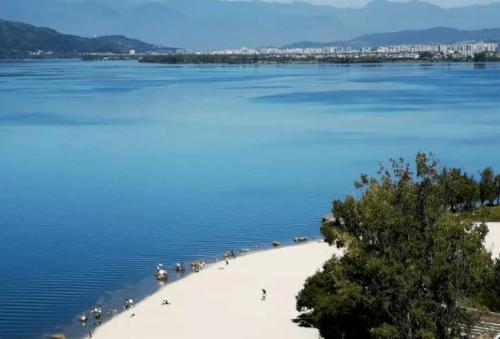 Sichuan pensioners come to Xichang: climate is similar to Kunming, there are large lakes in suburbs, environment is very good