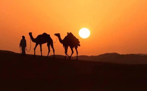 People of desert who wandered all their lives: do not recognize their nationality, take desert as their home, and use sky as a bed
