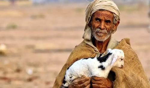 People of desert who wandered all their lives: do not recognize their nationality, take desert as their home, and use sky as a bed

