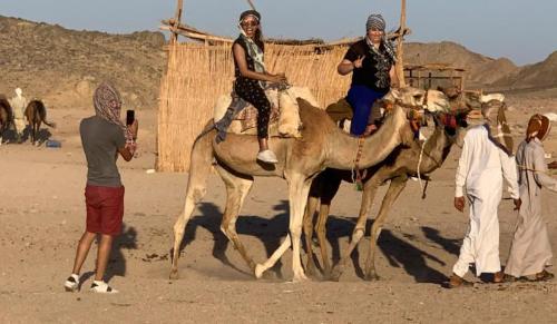 People of desert who wandered all their lives: do not recognize their nationality, take desert as their home, and use sky as a bed
