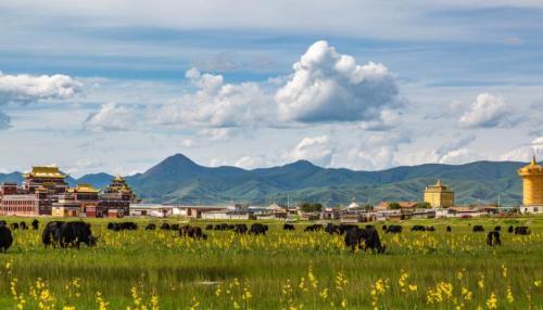 The only county in China named after Yellow River, Yellow River miraculously flows backwards for 800 miles, 95% of which is wetland, so beautiful