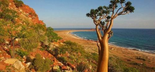 Paradise island in Middle East: it is so dilapidated that it is not as good as a remote mountain village. The villagers guard golden mountain in order to live a hard life.