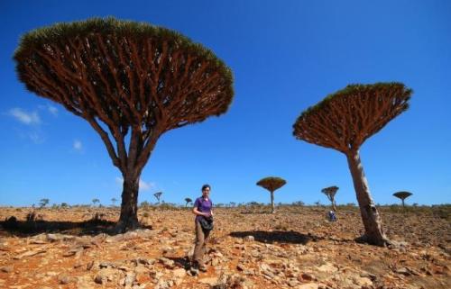 Paradise island in Middle East: it is so dilapidated that it is not as good as a remote mountain village. The villagers guard golden mountain in order to live a hard life.