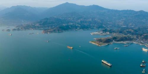 The Three Gorges Reservoir was mothballed 19 years ago, and this is a real paradise for fish.