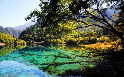 Three cities in Sichuan were "successful" in name change, few knew before name change, one was Dujiangyan.