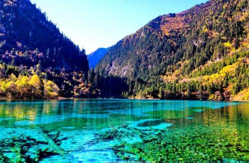 Three cities in Sichuan were "successful" in name change, few knew before name change, one was Dujiangyan.