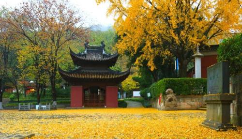 All five famous temples in China are good places to pray. How many of them have you visited?
