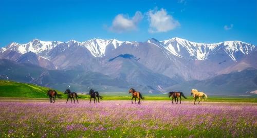 These 3 must-visit places in China in a lifetime have beautiful scenery and make people yearn endlessly

