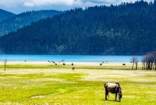 These 3 must-visit places in China in a lifetime have beautiful scenery and make people yearn endlessly
