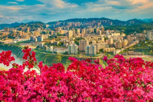 After I retired, I went to this small city in Sichuan to escape cold and spend winter. It's called "Little Sanya" and environment is beautiful.