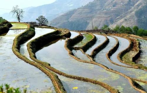 After I retired, I went to this small city in Sichuan to escape cold and spend winter. It's called "Little Sanya" and environment is beautiful.