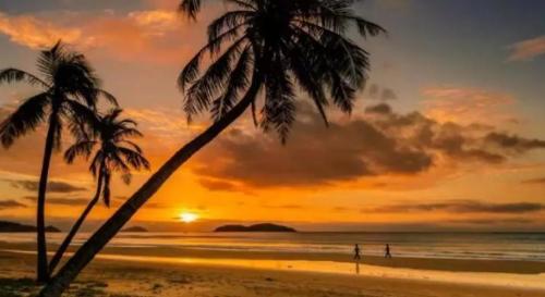 Hainan is most suitable small town for wintering after retirement. Beautiful scenery and low prices. It has become a new choice for retirement.