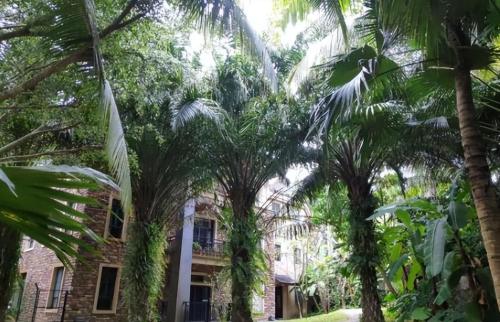Hainan is most suitable small town for wintering after retirement. Beautiful scenery and low prices. It has become a new choice for retirement.