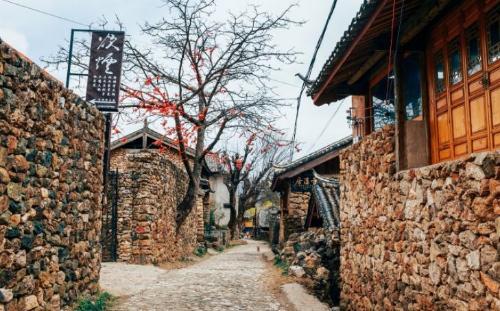 Yuhu Village, a hidden paradise at foot of Yulong Snow Mountain, is known as "the first village under Yulong Mountain."