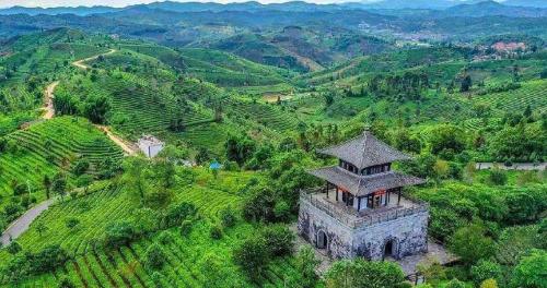 China's next Sanya, which is warmer in winter than Kunming and cooler in summer than Beihai, has become a new choice for living.