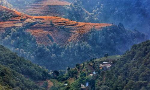 Naturally formed "pit yard", villagers are self-sufficient and live like in paradise.