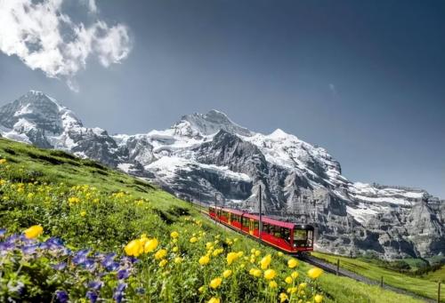The cost is 3 billion! The world's first panoramic sightseeing train is finally here! Panoramic windows, landscape is so beautiful