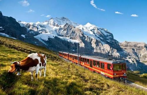 The cost is 3 billion! The world's first panoramic sightseeing train is finally here! Panoramic windows, landscape is so beautiful
