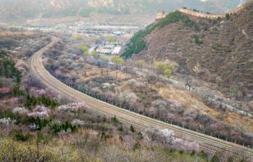 There is a train in Guangdong province that goes straight to northeast, there are only 14 stops along way, scenery is very beautiful along way.
