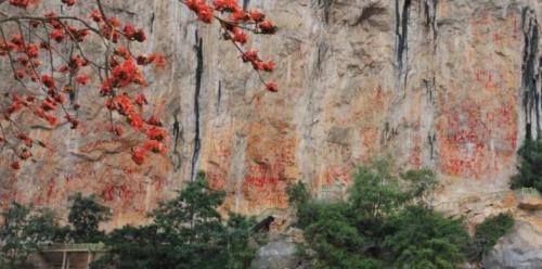 The way out is Vietnam! This border town of "Chinese-Vietnamese mixed blood" is a new resort for living and retiring.