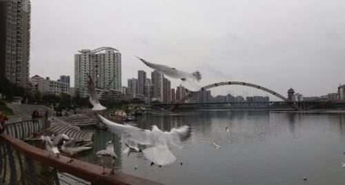 The only technology city in China, known as "Western Silicon Valley", may become a sub-central city in future.
