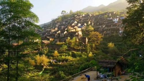 The coolest village in Guangdong, all houses of villagers are built on slopes above 45 degrees, and environment for chopping wood and cooking is wonderful.