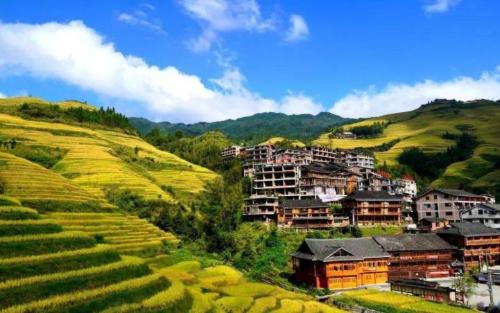 The coolest village in Guangdong, all houses of villagers are built on slopes above 45 degrees, and environment for chopping wood and cooking is wonderful.