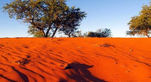 Primitive tribes who rip food out of the mouths of lions, steal ostrich eggs when they are hungry, and catch antelopes if they want to eat meat.
