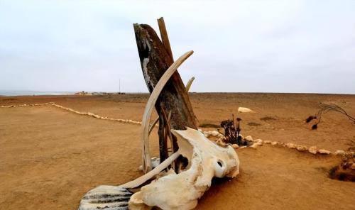 Primitive tribes who rip food out of the mouths of lions, steal ostrich eggs when they are hungry, and catch antelopes if they want to eat meat.
