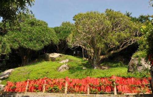 The "Eternal Nanshan Pine" originally existed and remained unchanged for thousands of years. Those who see it will increase their blessings and longevity.
