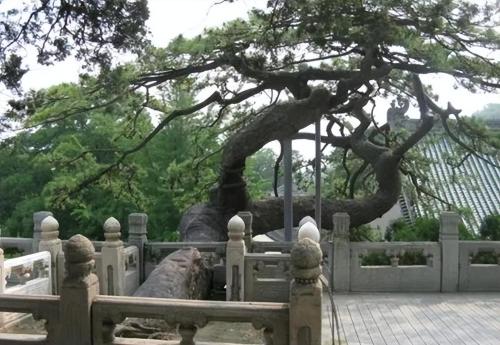 The "Eternal Nanshan Pine" originally existed and remained unchanged for thousands of years. Those who see it will increase their blessings and longevity.
