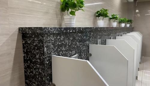 The toilet at Guiyang Airport is on fire! Fossils were found about 439 million years ago. Do you want to remove them?