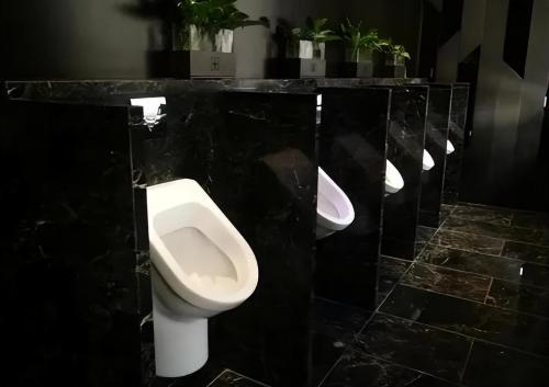 The toilet at Guiyang Airport is on fire! Fossils were found about 439 million years ago. Do you want to remove them?