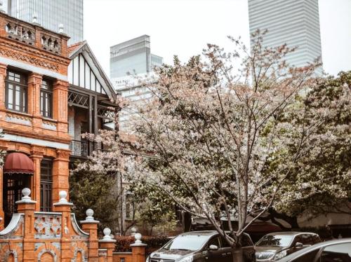 There is a special road in center of Shanghai that was built to transport troops and used to be dividing line of Shanghai.