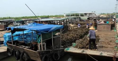 The "city of oysters in China" is located here in Guangdong province, where you can have an unforgettable oyster banquet.
