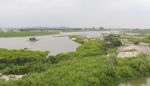 The "city of oysters in China" is located here in Guangdong province, where you can have an unforgettable oyster banquet.
