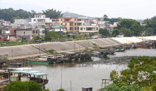 The "city of oysters in China" is located here in Guangdong province, where you can have an unforgettable oyster banquet.
