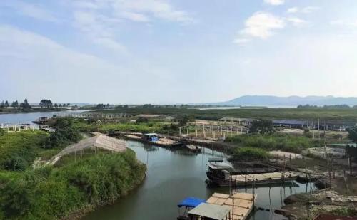 The "city of oysters in China" is located here in Guangdong province, where you can have an unforgettable oyster banquet.
