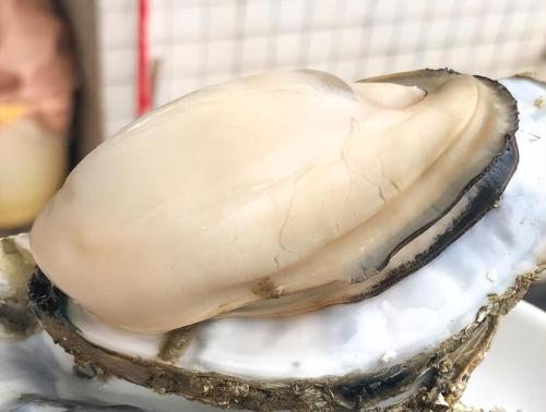 The "city of oysters in China" is located here in Guangdong province, where you can have an unforgettable oyster banquet.

