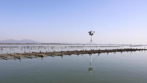 The "city of oysters in China" is located here in Guangdong province, where you can have an unforgettable oyster banquet.
