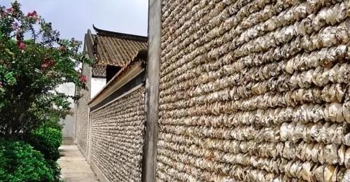 The mysterious little fishing village in Quanzhou is full of "oyster houses" and there are girls who love to wear flowers.