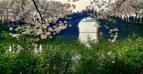 Jiangsu is a modest city suitable for elderly, with good air and beautiful scenery, known as "Pearl of Taihu Lake".