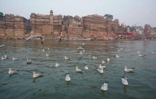 Ganges mineral water goes on sale and 100,000 bottles sell out within an hour? How dirty is water of Ganges?