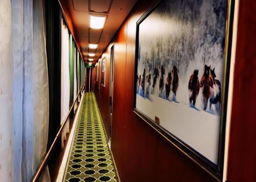 Our country has to take 17-day train, which starts at 10,000 yuan, and has an exclusive butler, but it's hard to find a ticket.