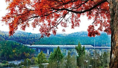 Liabilities exceeded 6 trillion yuan! My country's high-speed rail ticket costs 800 yuan, but why doesn't it support China's railways?