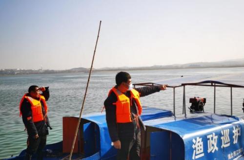Fish in Yangtze River were once endangered! After policy was made public, did it overwhelm one after another? Experts say no