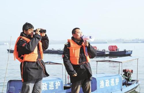 Fish in Yangtze River were once endangered! After policy was made public, did it overwhelm one after another? Experts say no
