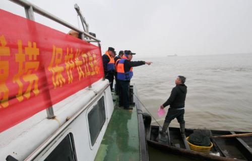 Fish in Yangtze River were once endangered! After policy was made public, did it overwhelm one after another? Experts say no